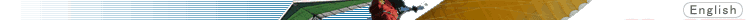 �p���O���C�_�[